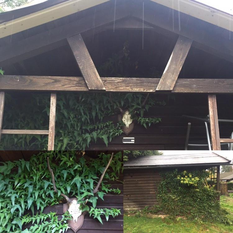 Ferienhaus Braunfelsヴィラ エクステリア 写真