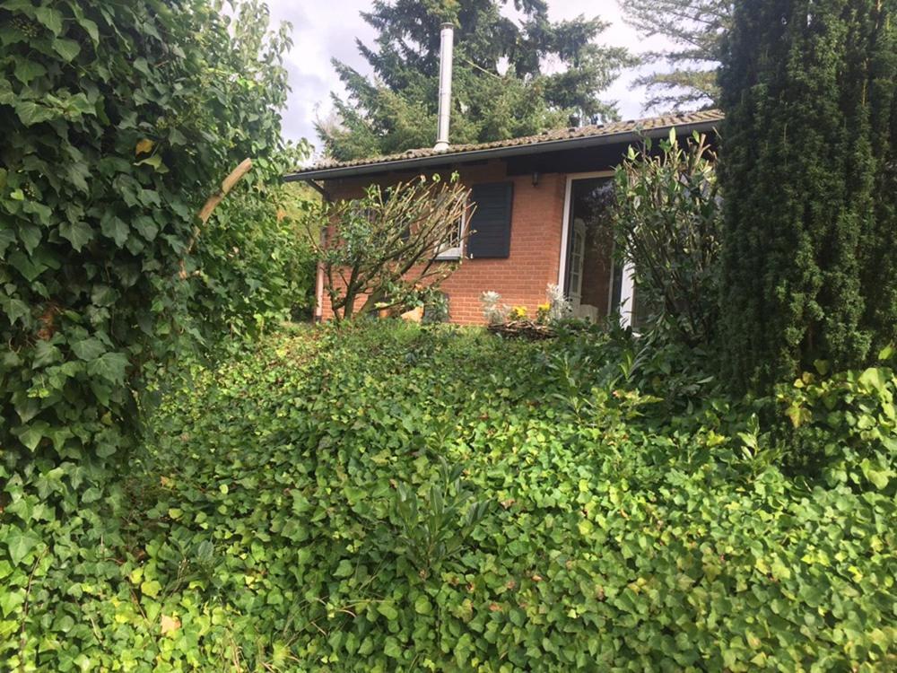 Ferienhaus Braunfelsヴィラ エクステリア 写真